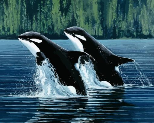 Mother and Son Orca paint by numbers