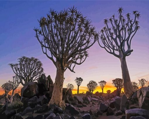 Namibia Aloe Dichotoma Trees paint by numbers