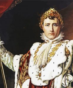 Napoleon The king paint by numbers