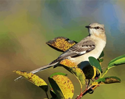 Northern Mockingbird On Plants Paint By Number
