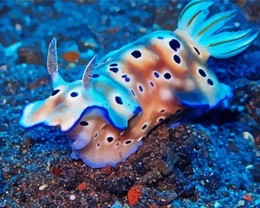 Nudibranch Animals Paint By Number