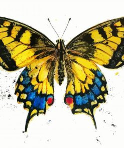 Old World Swallowtail Butterfly paint by numbers