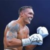 Oleksandr Usyk paint by numbers