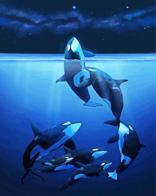 Orca Family paint by numbers