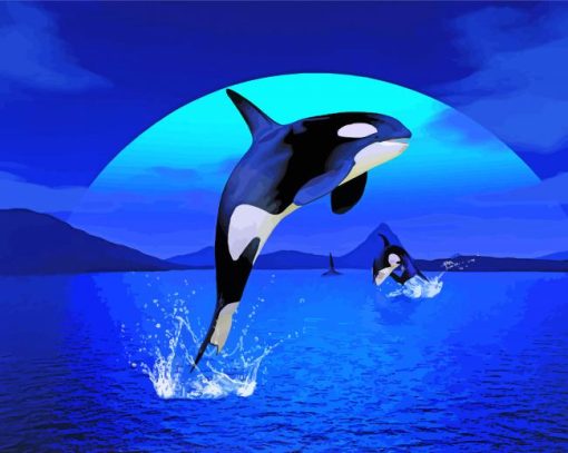 Orca Jumping paint by numbers