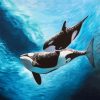 Orca Underwater paint by numbers