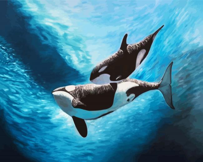 Orca Underwater paint by numbers