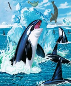 Orcas and Seals paint by numbers