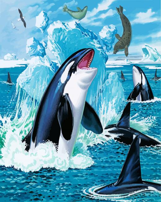 Orcas and Seals paint by numbers