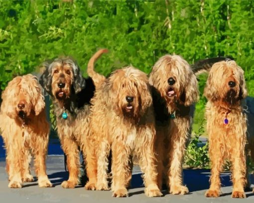 Otterhound paint by numbers