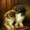 Pekingese Dogs paint by numbers