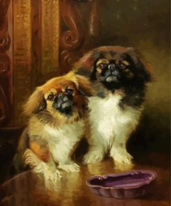 Pekingese Dogs paint by numbers