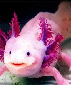 Pink Axolotl paint by numbers