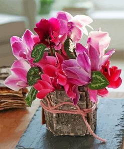 Pink Cyclamen paint by numbers