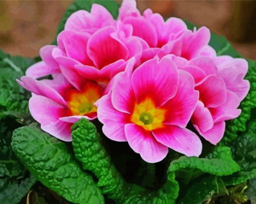 Pink Primrose Paint By Number
