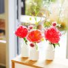 Pivoines Vases Paint By Number