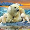 Polar Bear Family paint by numbers