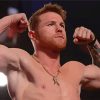 Professional Boxer Canelo paint by numbers