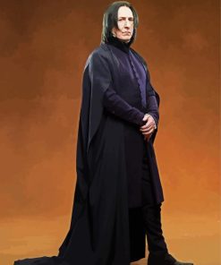 Professor Severus Snape Harry Potter paint by numbers
