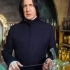 Professor Severus paint by numbers
