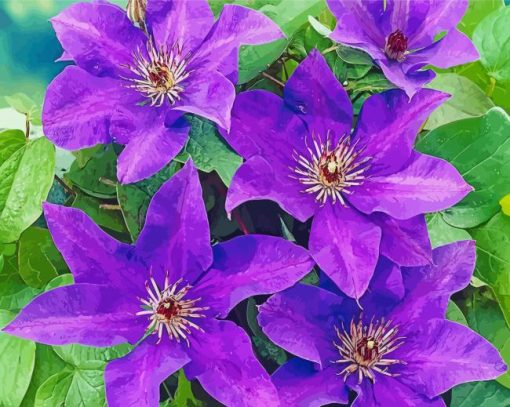 Purple Clematis Flowers paint by numbers