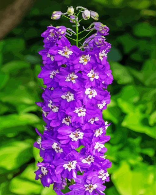 Purple Delphiniums Plants paint by numbers