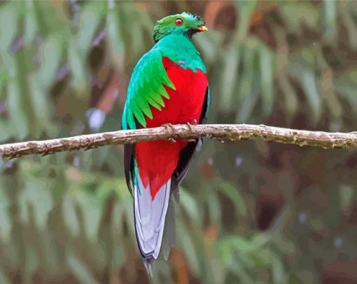 Quetzal Bird Paint By Number