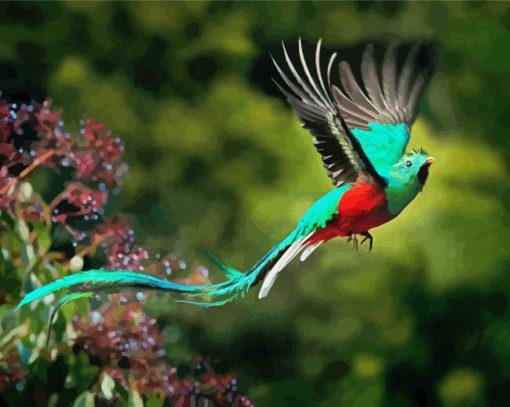 Quetzal Bird Flying Paint By Number