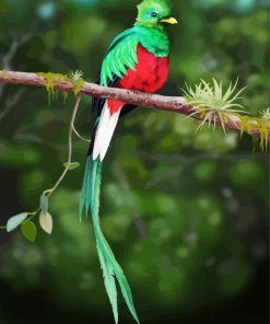 Quetzal On a Branch paint by numbers