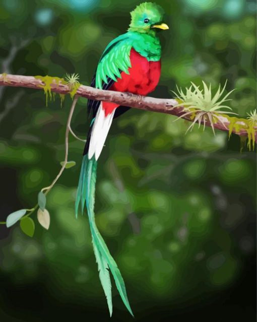 Quetzal On a Branch paint by numbers