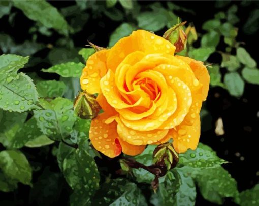 Raindrop Yellow Rose paint by numbers