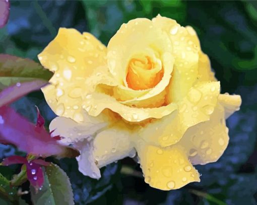 Raindrops Yellow Rose paint by numbers
