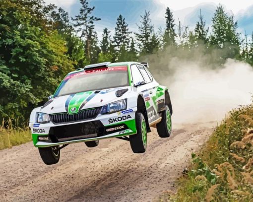 Skoda Rally Car Paint By Number