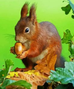 Red Squirrel Eating Acorn paint by numbers