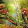 Red Squirrels paint by numbers