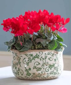 Red Cyclamen Vase paint by numbers