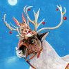 Reindeer And Rabbit Paint By Number