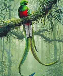 Resplendent Quetzal Paint By Number