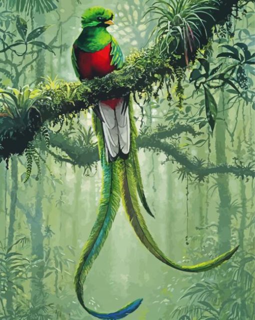 Resplendent Quetzal Paint By Number