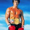 Rocky Sylvester Stallone paint by numbers