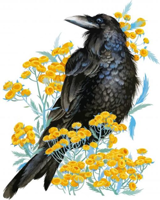 Rook Bird Art Paint By Number