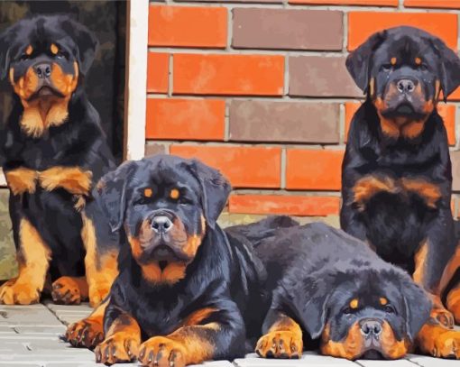 Rottweiler Family Paint By Number