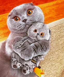 Scottish Fold Cats paint by numbers