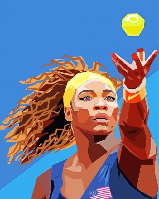 Serena Williams Pop Art Paint By Number