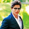 Shah Rukh Khan paint by numbers