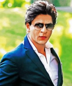 Shah Rukh Khan paint by numbers