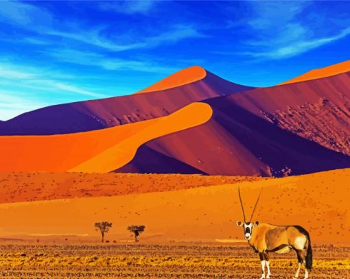 Southern Africa Namibia paint by numbers
