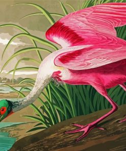 Spoonbills Art paint by numbers