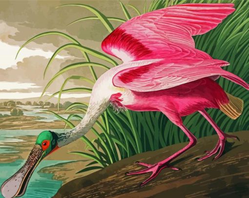 Spoonbills Art paint by numbers