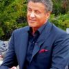 Sylvester Stallone Actor paint by numbers
